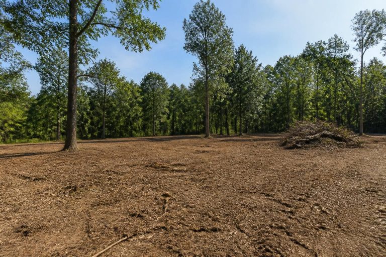 Land Clearing